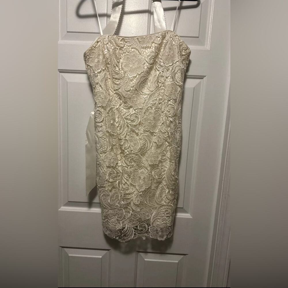 Adrianna Papell  Lace Dress Size 10